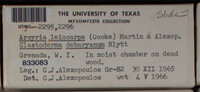Image Associated With the Occurrence